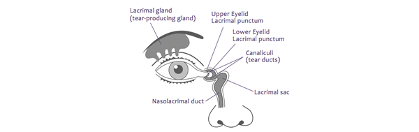 Lacrimal Gland Tearing Treatment in Los Angeles